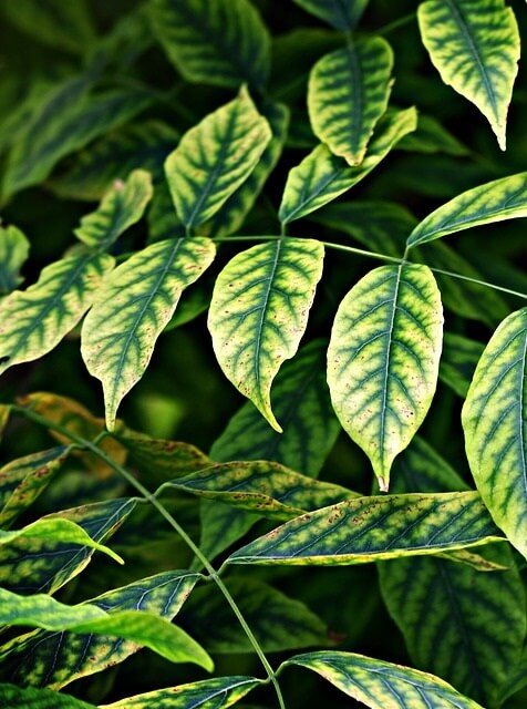 Community comments and complaints